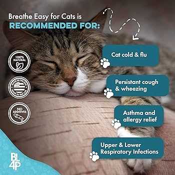 Using Humidifiers to Ease Breathing