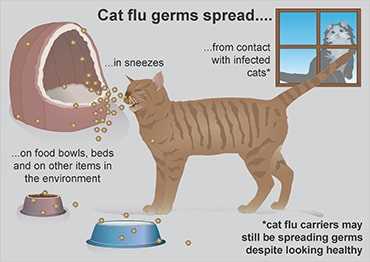 Consider Additional Health Factors