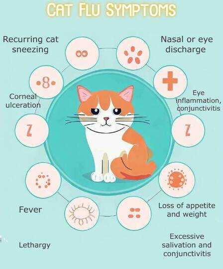 Watch for Severe Symptoms