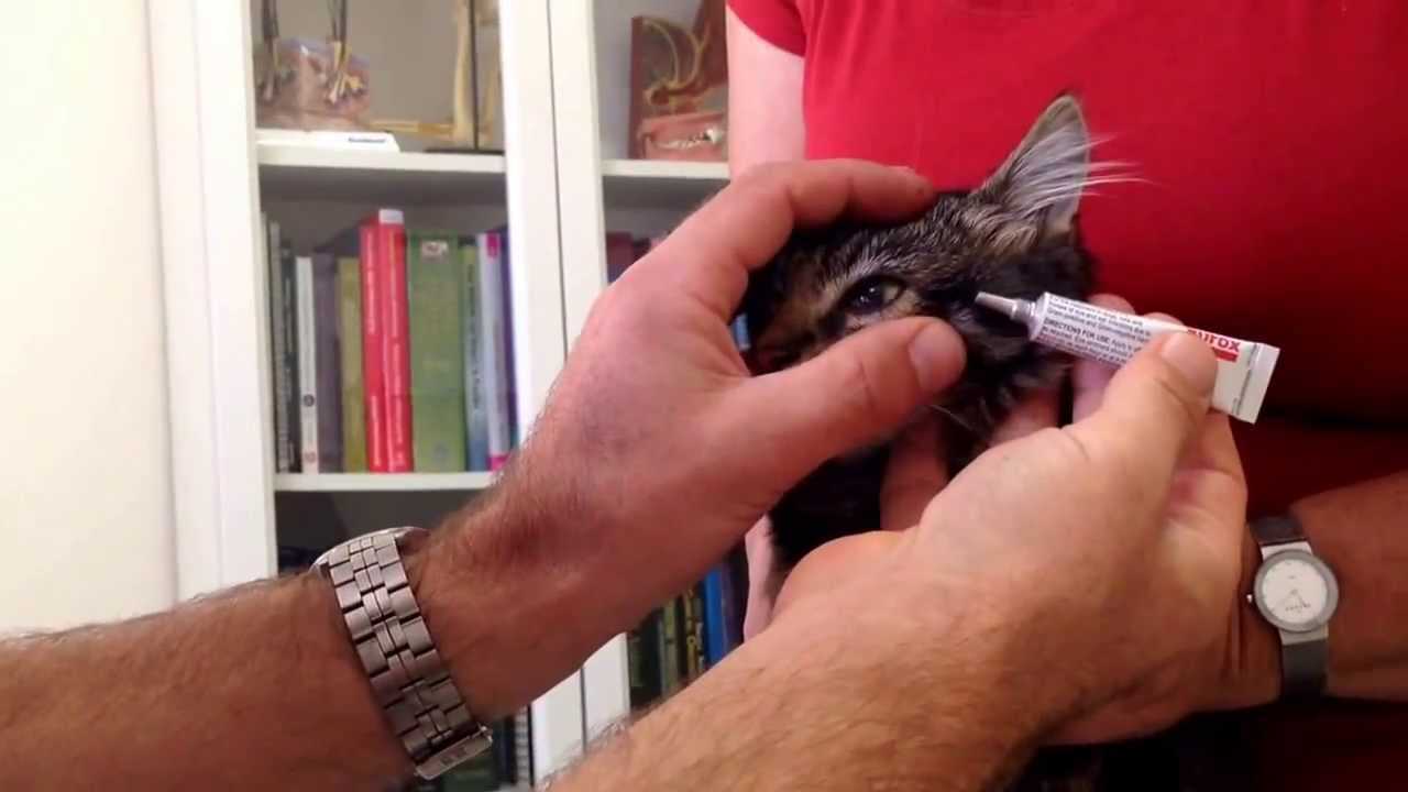 Post-Application Care