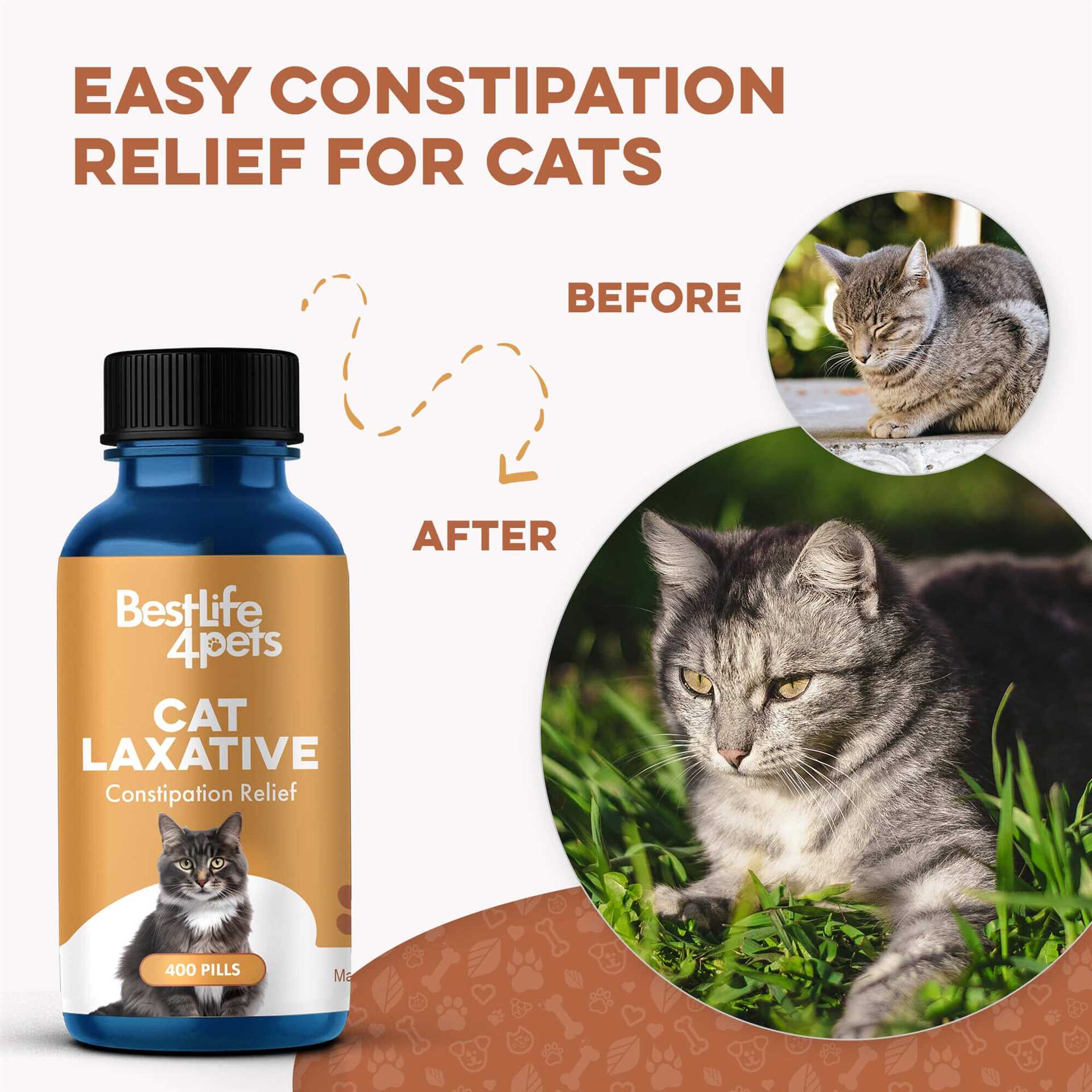 Safe Home Remedies for Cat Constipation