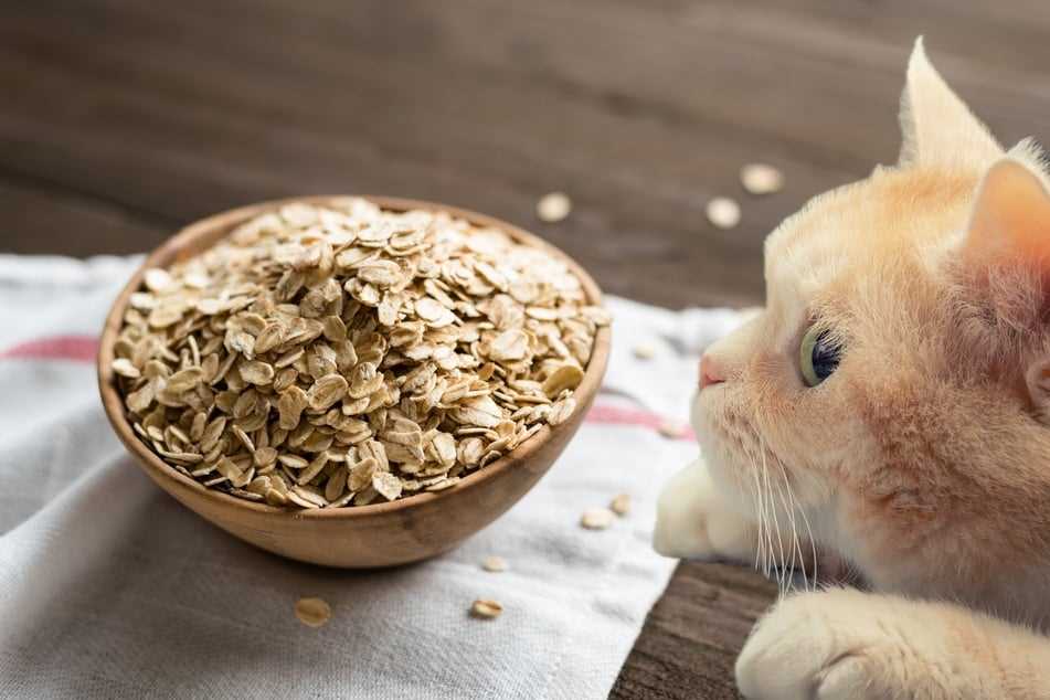 Allergy Awareness