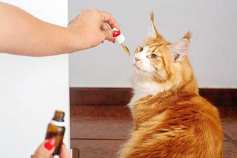 Flaxseed Oil