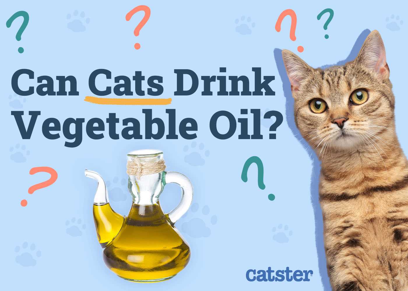 Monitoring Your Feline