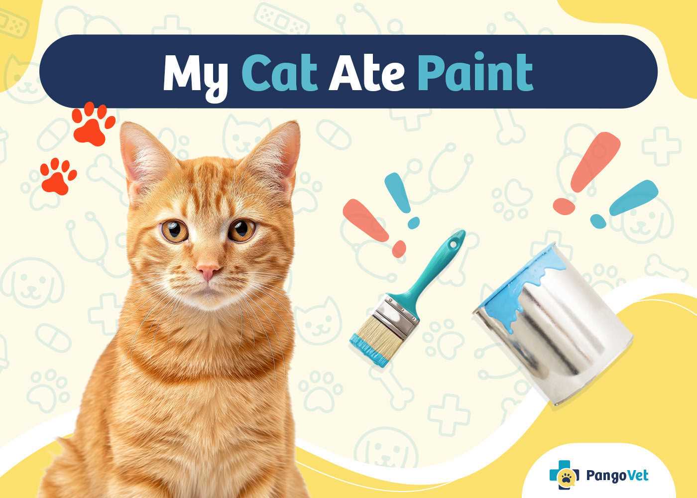 Is Paint Dangerous for Felines?