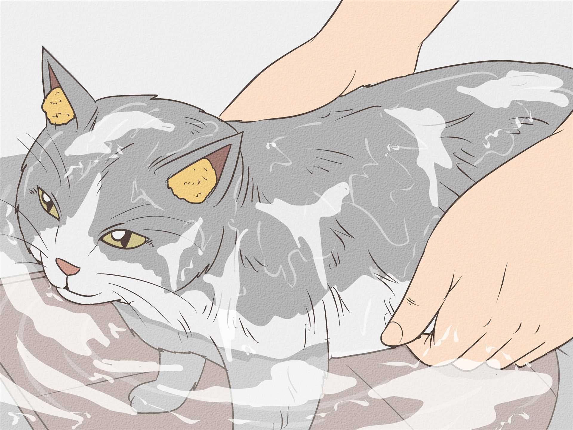 Signs of Paint Poisoning in Cats: What to Look For