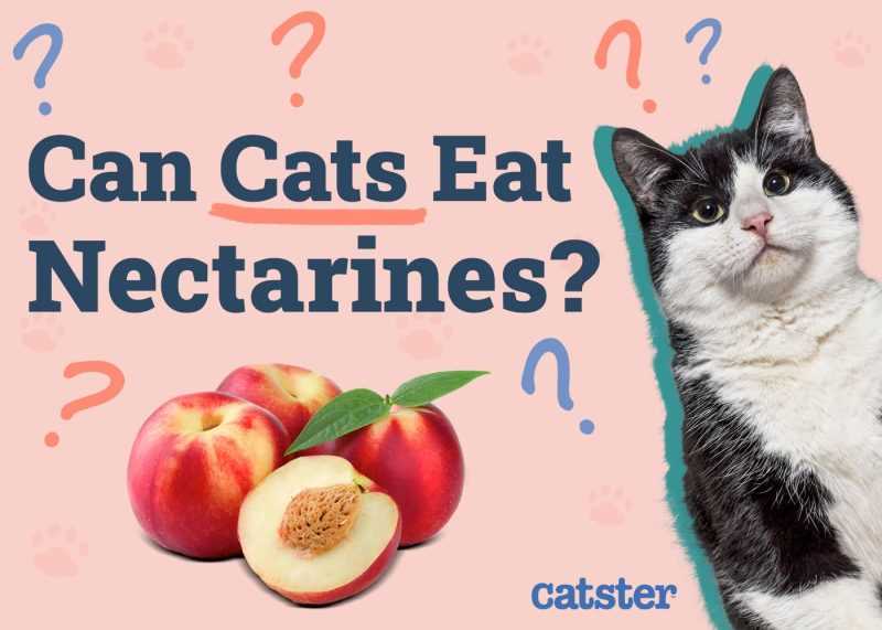 Interactions with Other Foods