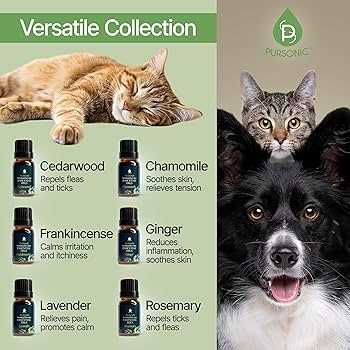 Symptoms of Peppermint Poisoning in Cats