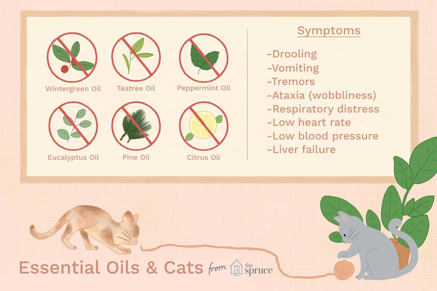 Is Peppermint Poisonous to Cats