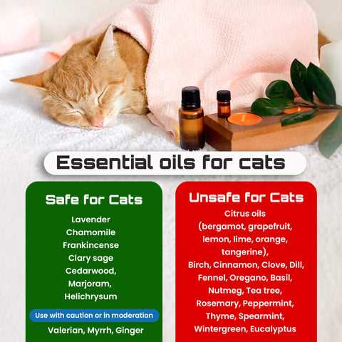 What to Do If Symptoms Appear