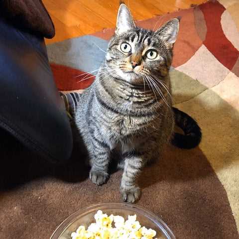 Signs of Discomfort After Eating Popcorn