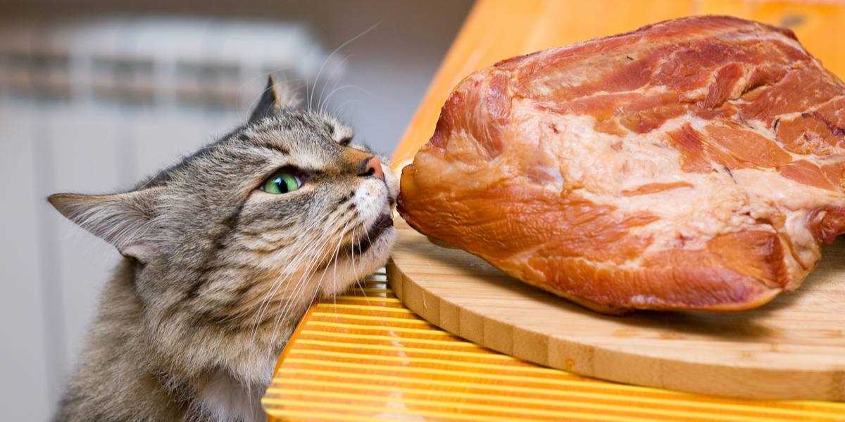 Portion Control