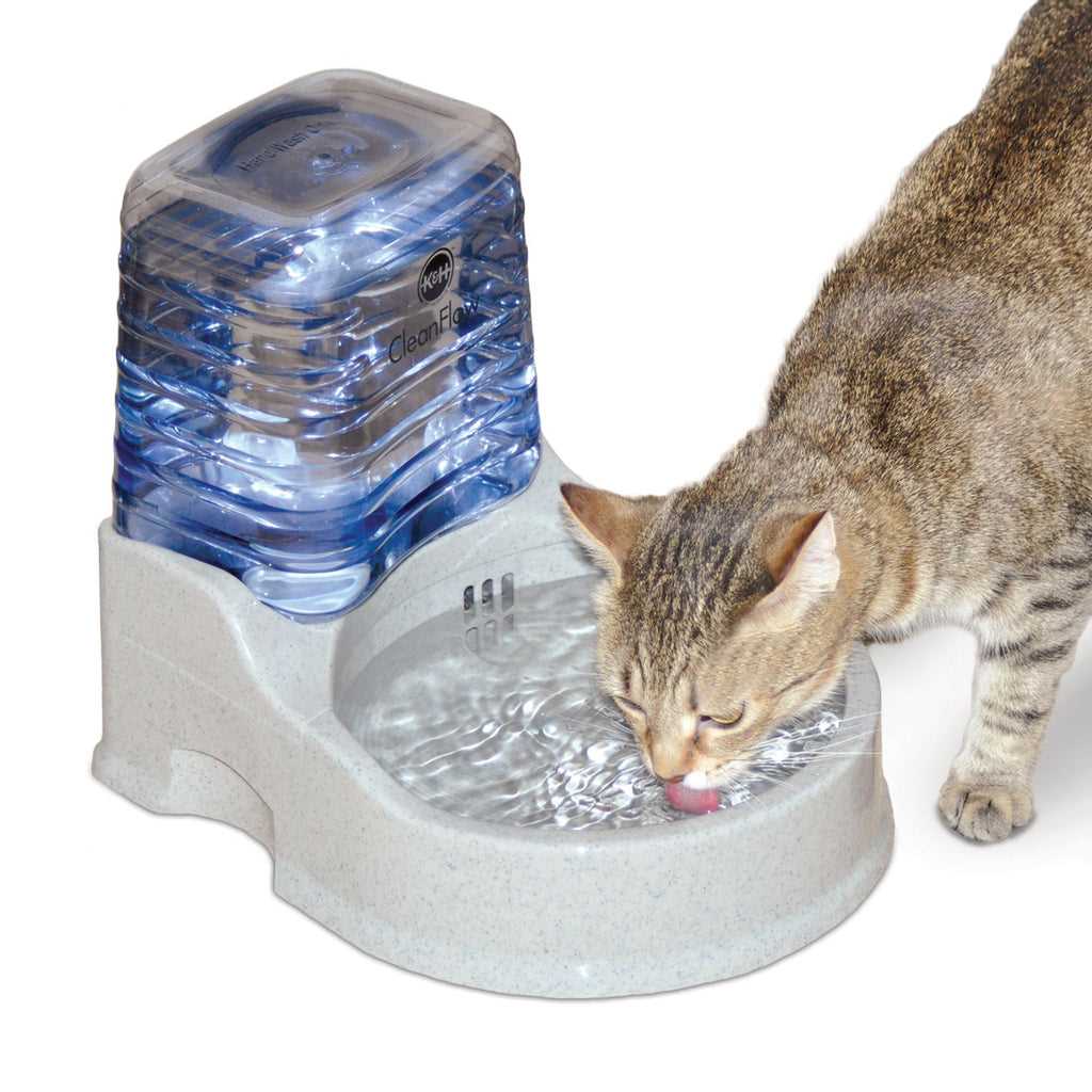 Best Practices for Providing Purified Water to Your Cat