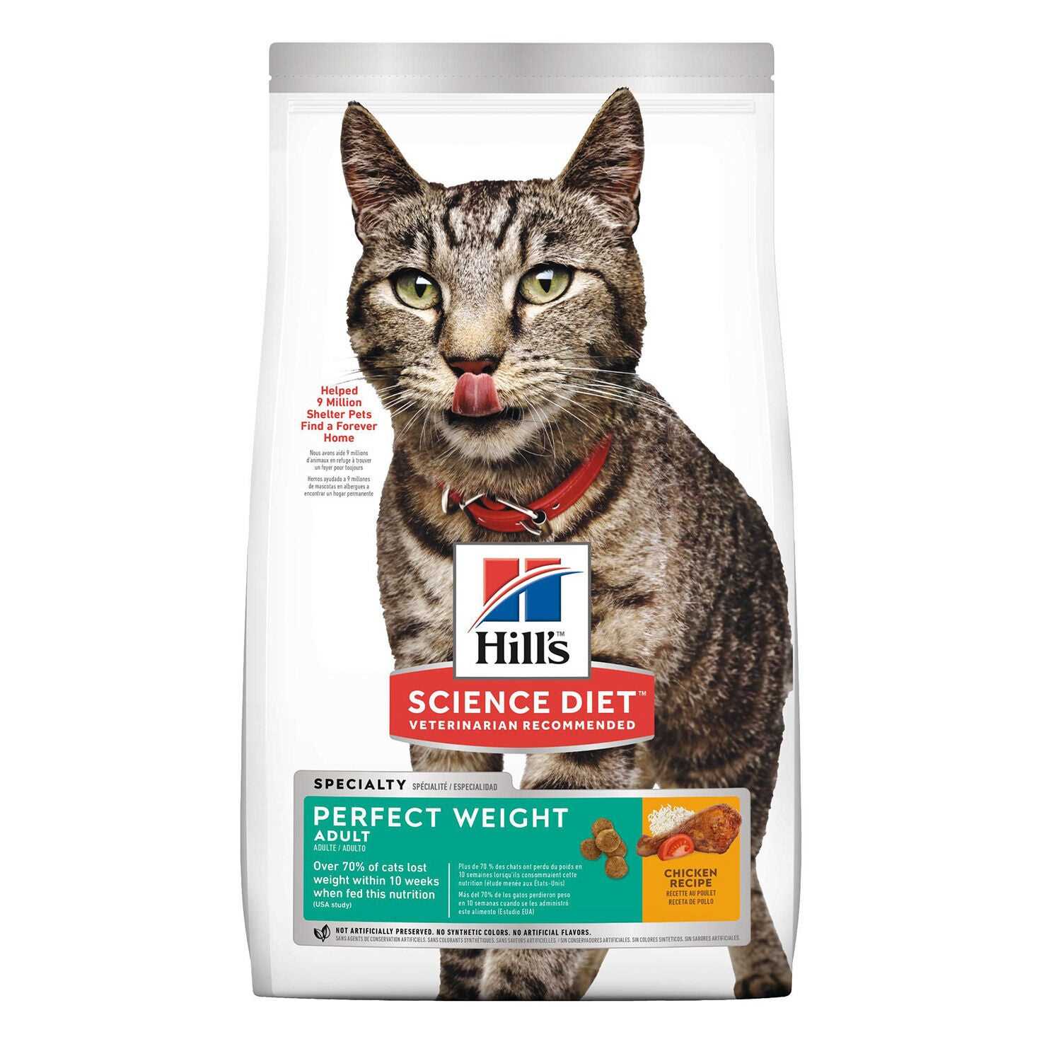 Comparing Purina with Other Cat Food Brands