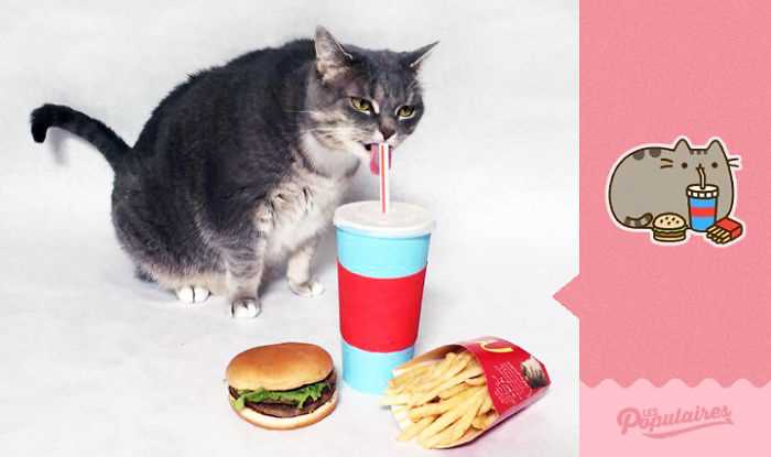 The Cultural Impact of Pusheen on Cat Lovers