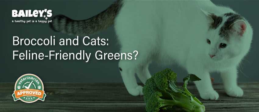 Nutritional Benefits of Raw Broccoli for Cats