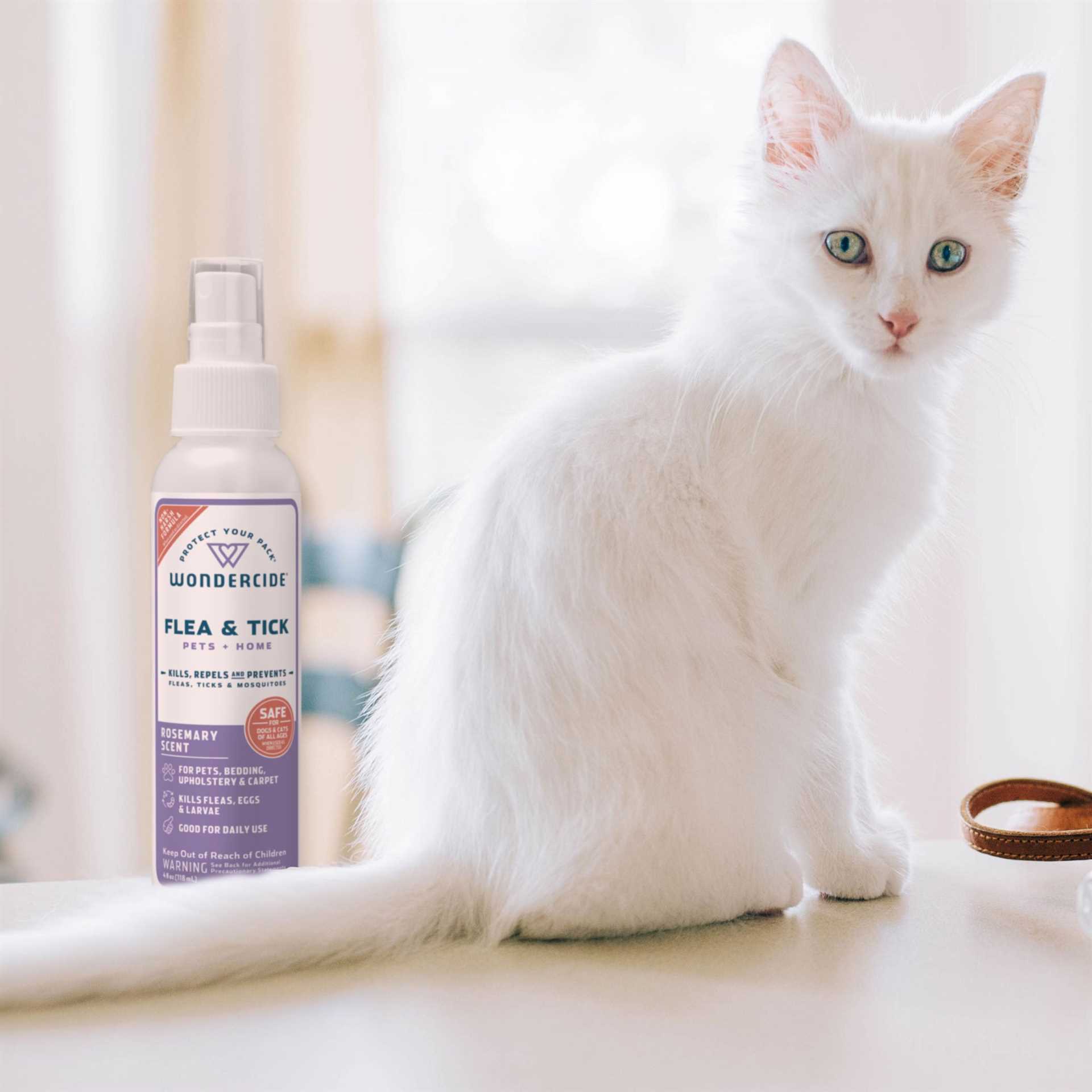 How to Safely Introduce Rosemary into Your Cat's Diet
