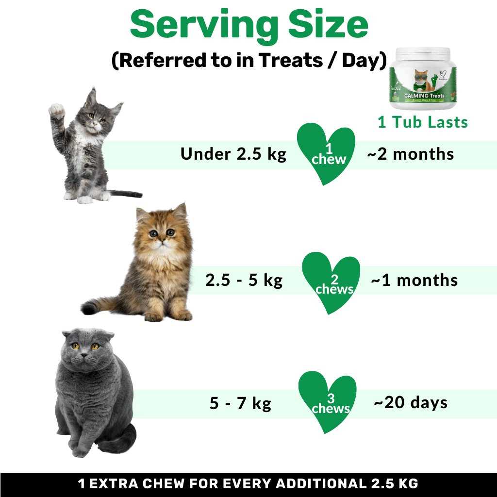 Commercially Available Cat Chew Toys