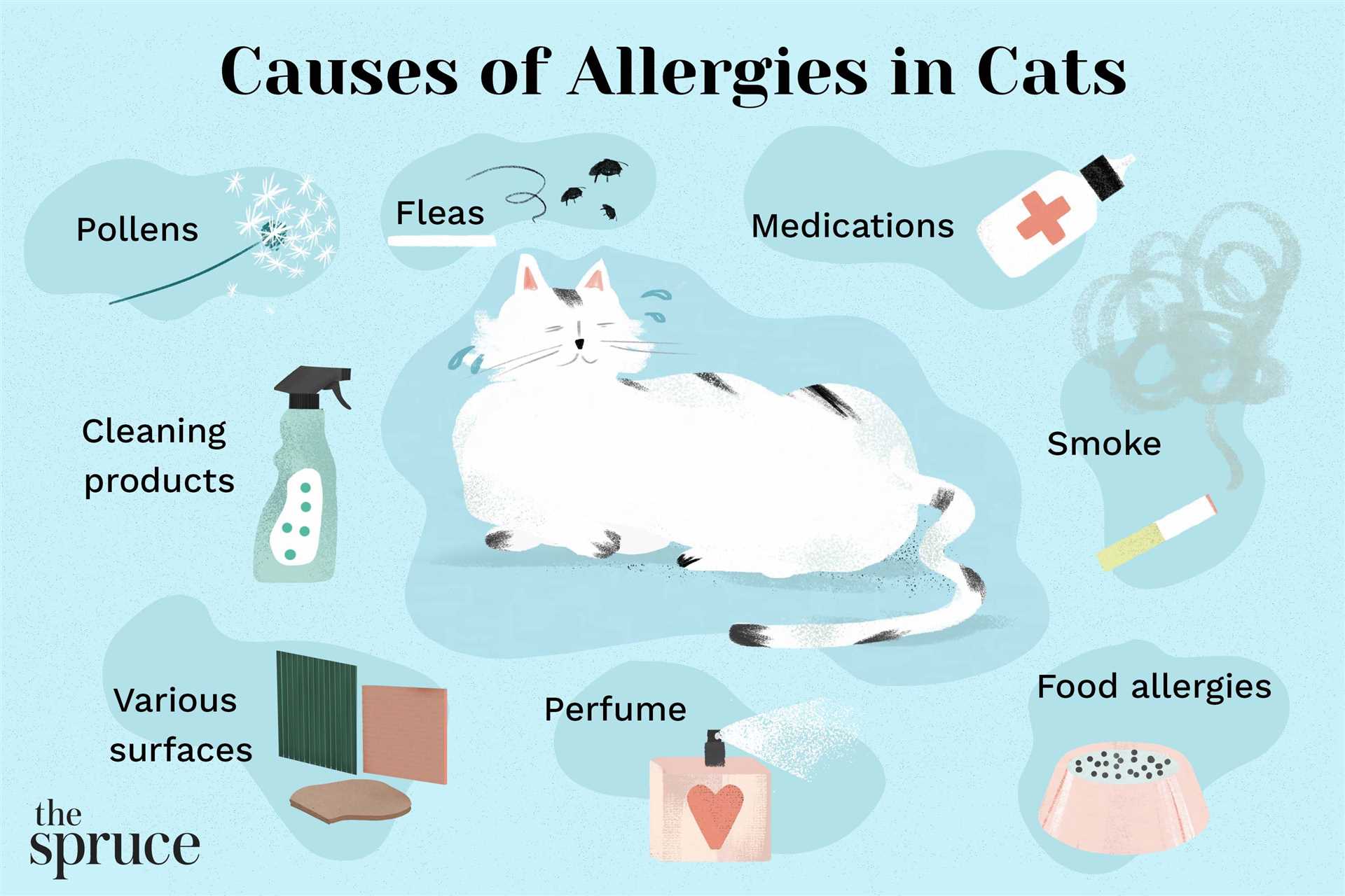 Dietary Adjustments to Reduce Allergy Symptoms