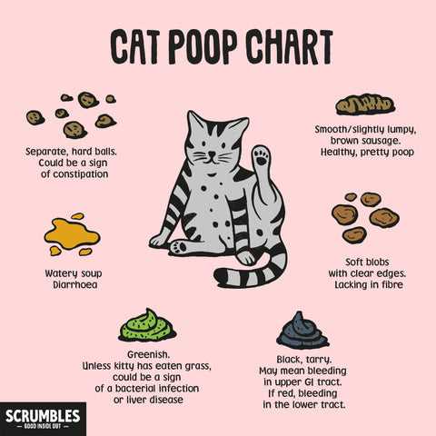 Recommended Fiber Sources