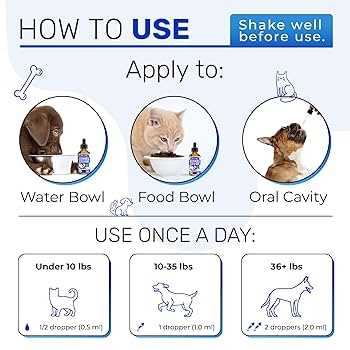 Relief Options for Feline Coughing