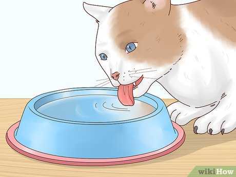 Safe Home Remedies for Reducing Fever