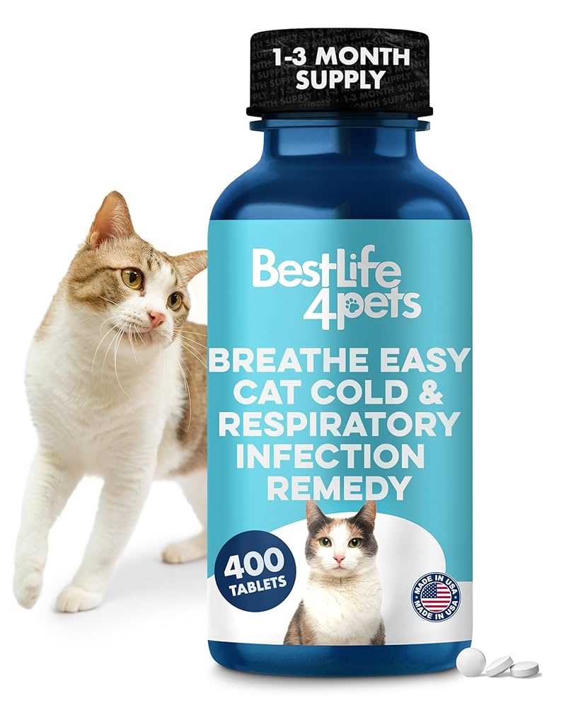 Safe Over-the-Counter Medications for Cats