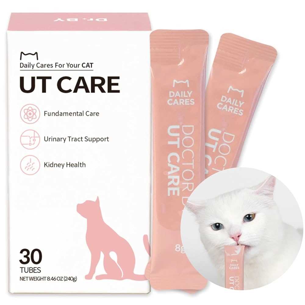 Understanding Urinary Tract Infections in Cats