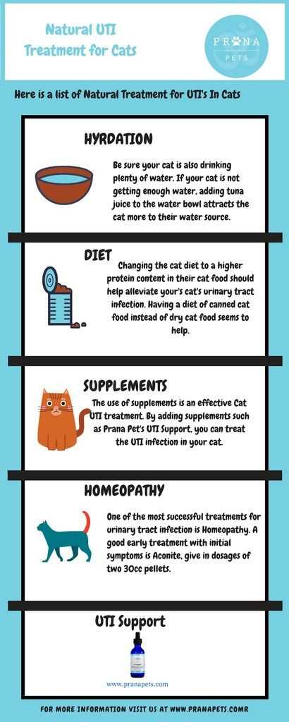 Dietary Adjustments