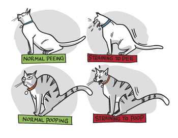 Gentle Additives