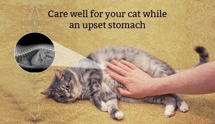 When to Use Over-the-Counter Remedies