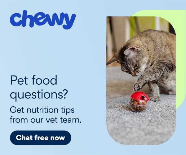 Over-the-Counter Remedies for Feline Diarrhea