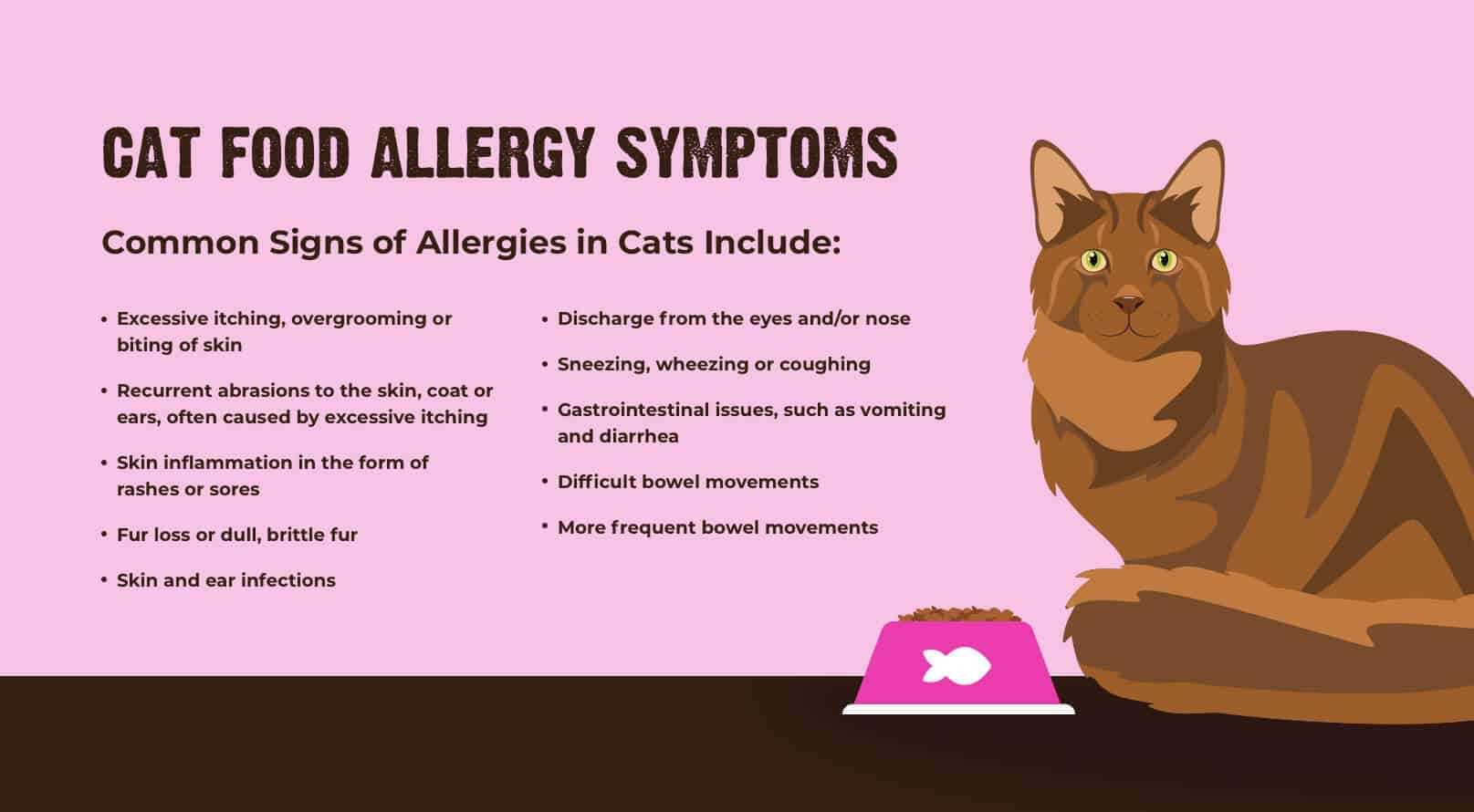 Natural Remedies to Alleviate Cat Allergies