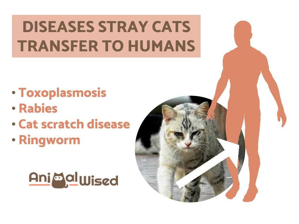 Signs and Symptoms