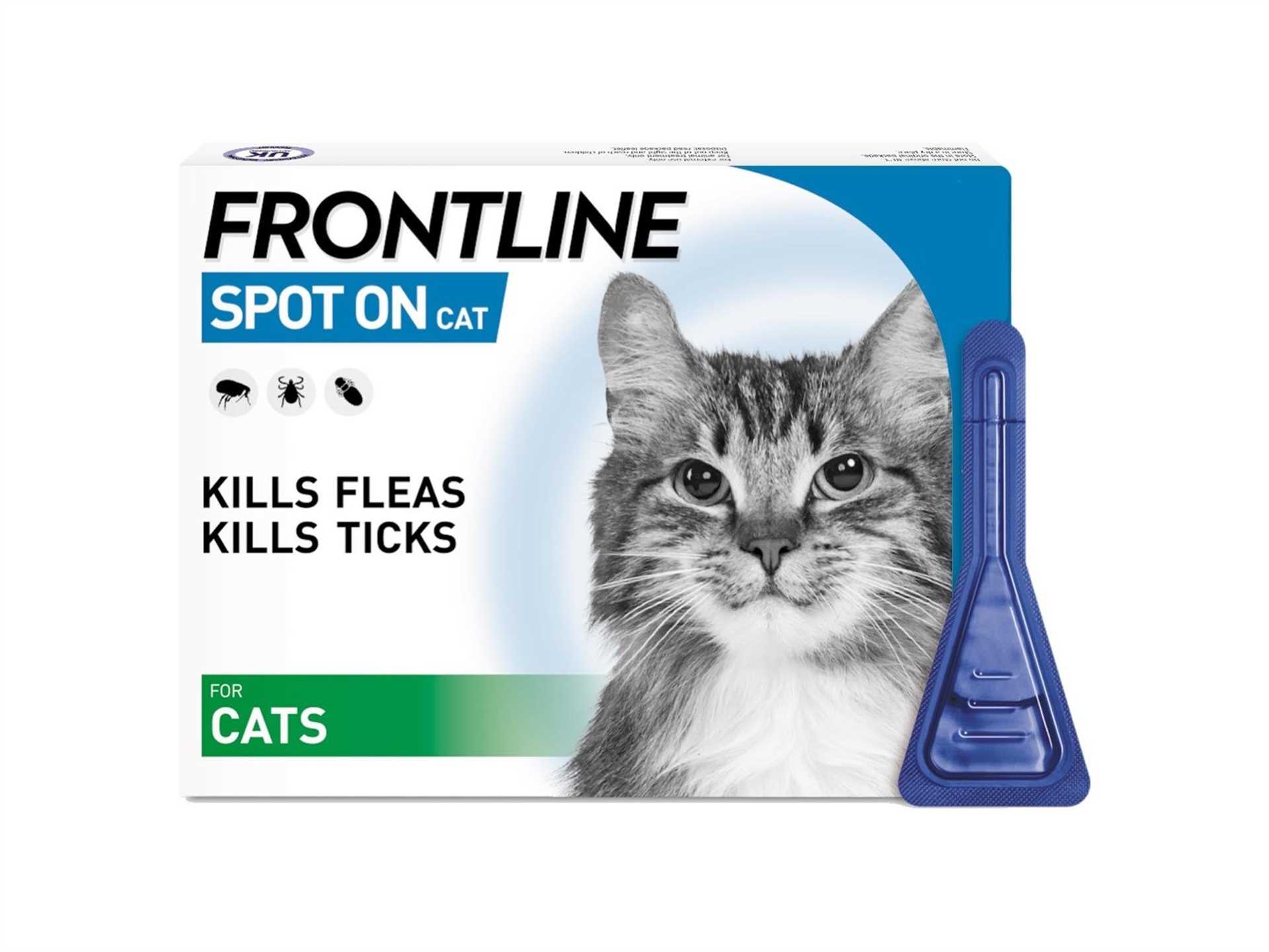 How to Properly Administer Flea Treatments to Cats