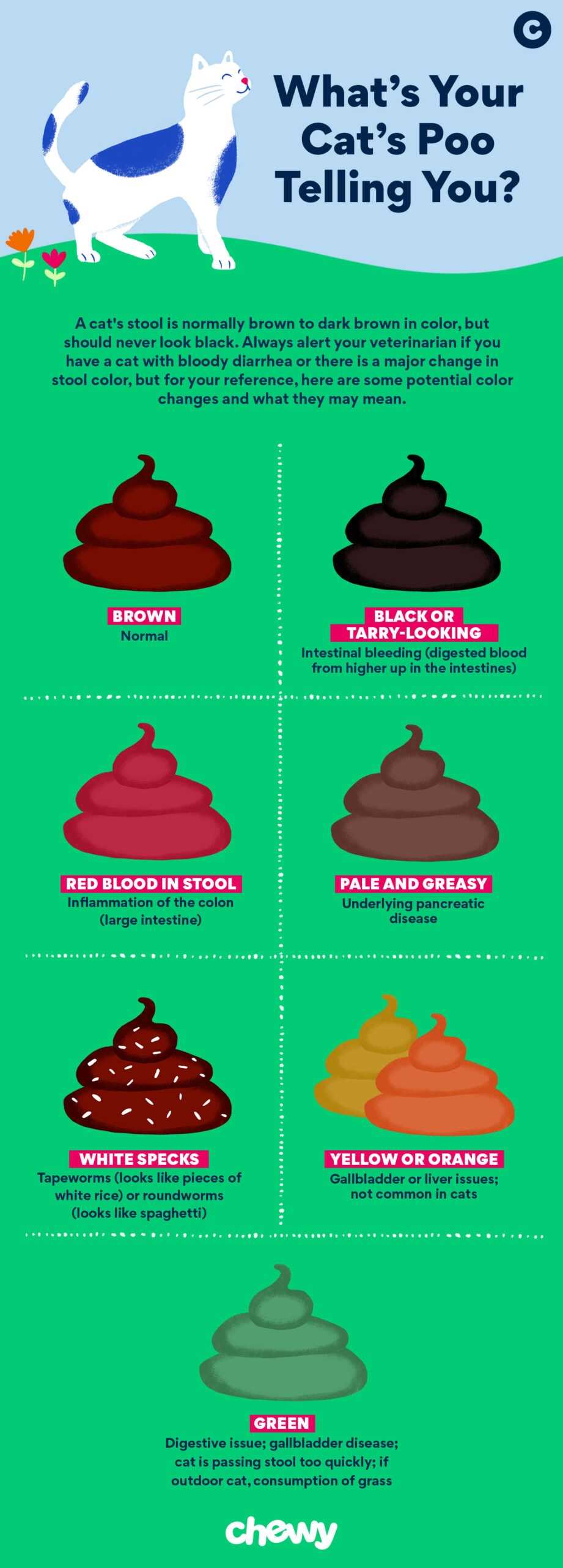 Health Concerns