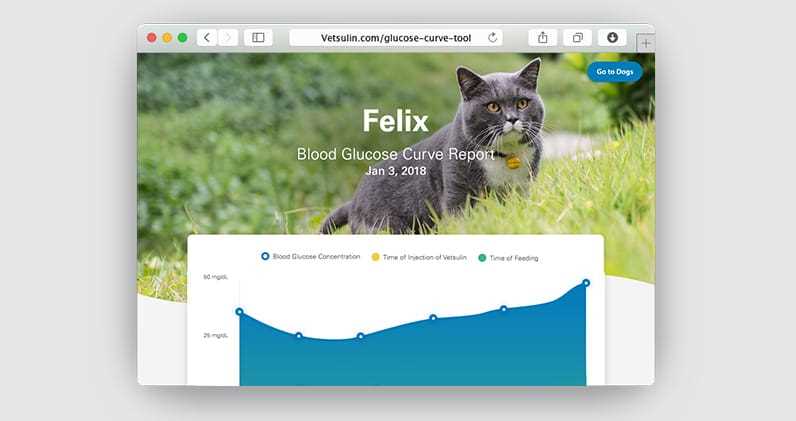 Normal Range for Blood Sugar in Cats