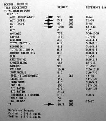 Next Steps After Receiving Abnormal Results