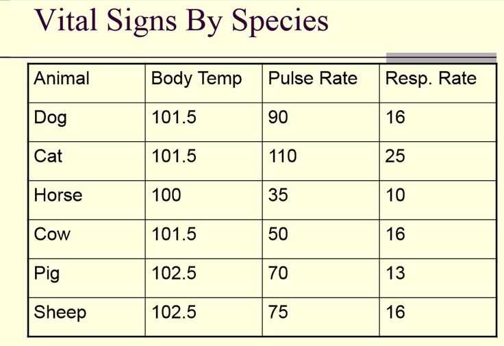 Environment Considerations
