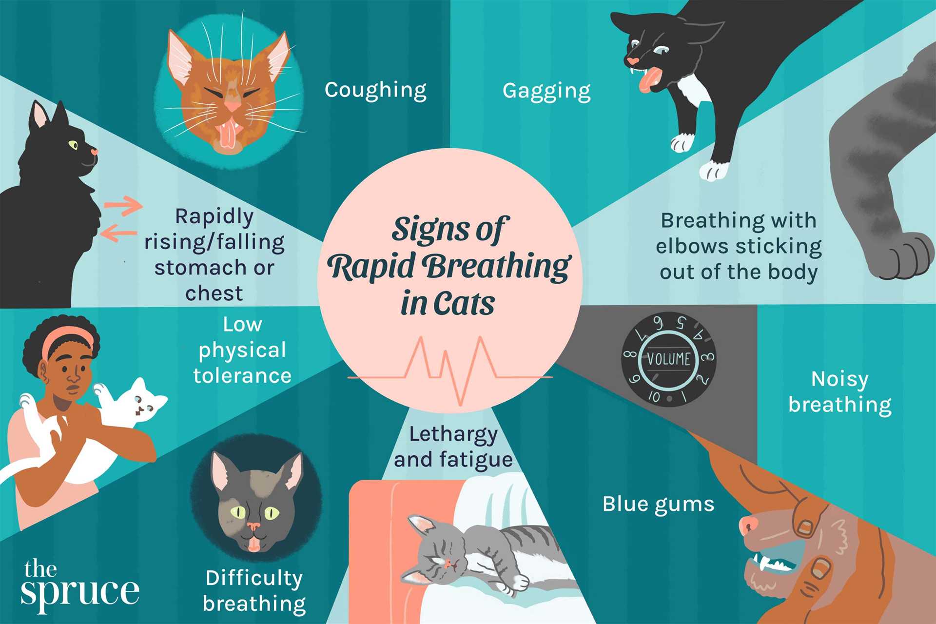 Factors Influencing Breathing Patterns