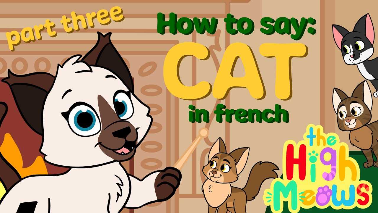 Tips for Perfecting Your Pronunciation