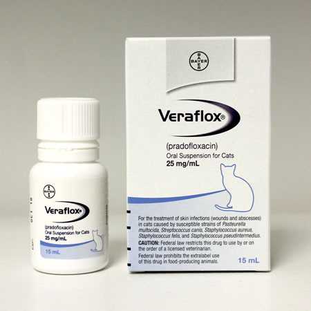 Potential Side Effects of Veraflox in Feline Patients