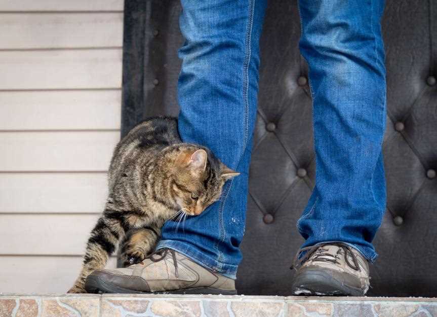 Why This Behavior Matters