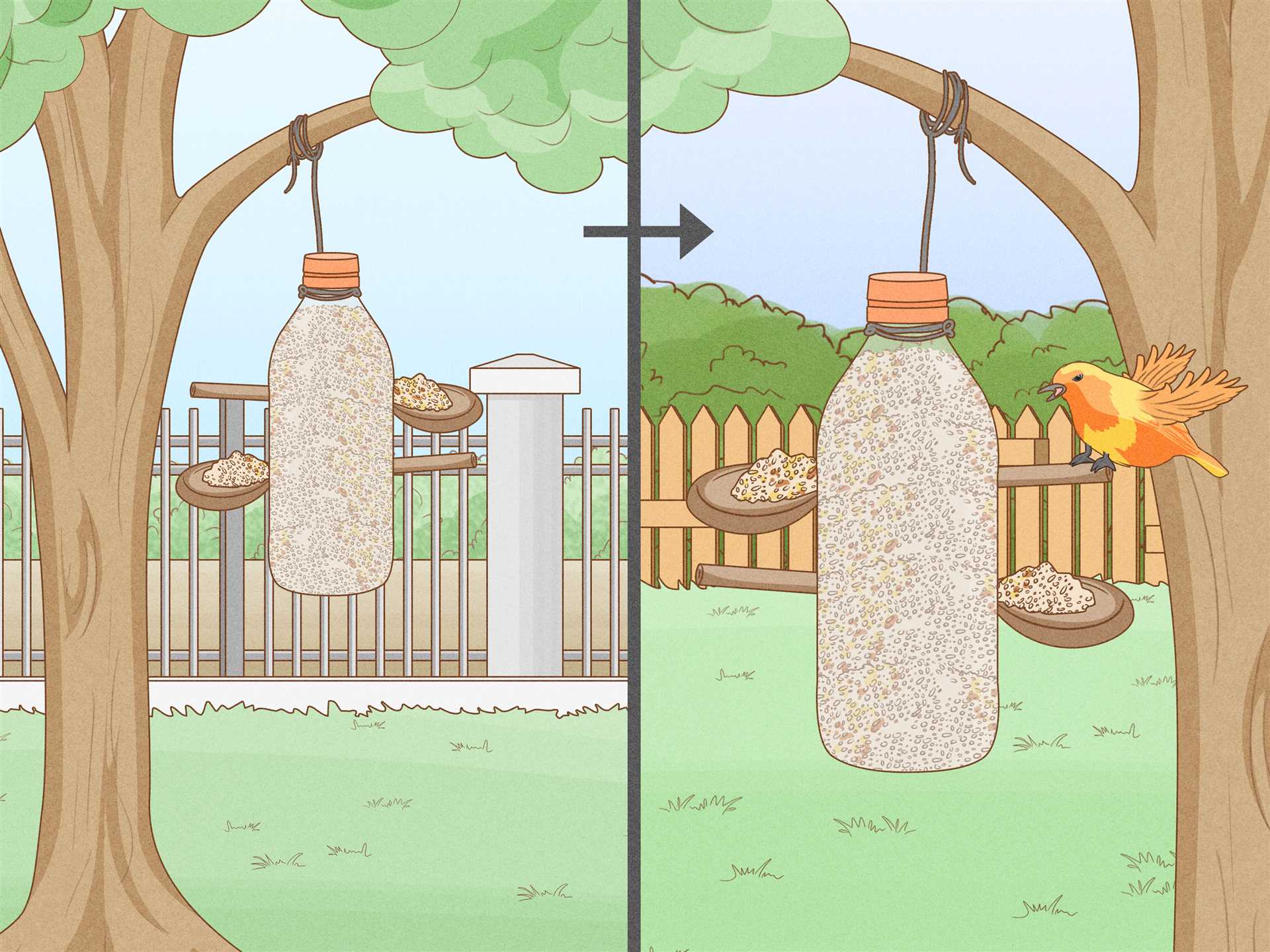 Using Natural Deterrents to Repel Felines