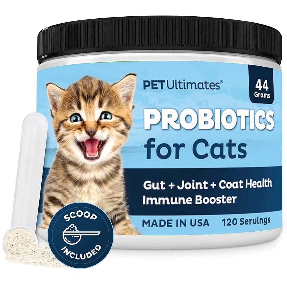 Signs Your Feline Friend May Require Supplementation