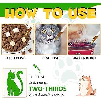 Choosing the Right Relief for Your Feline Friend