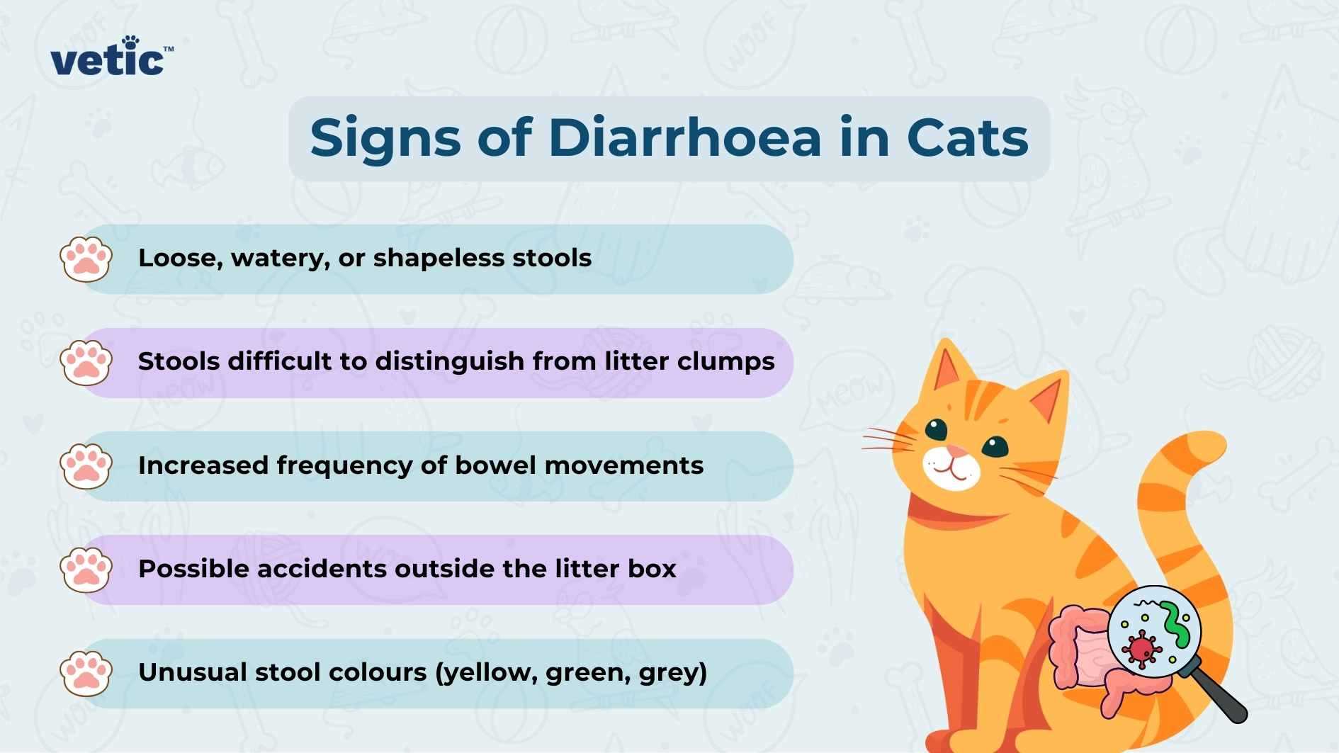 Common Dietary Causes of Loose Stools in Felines