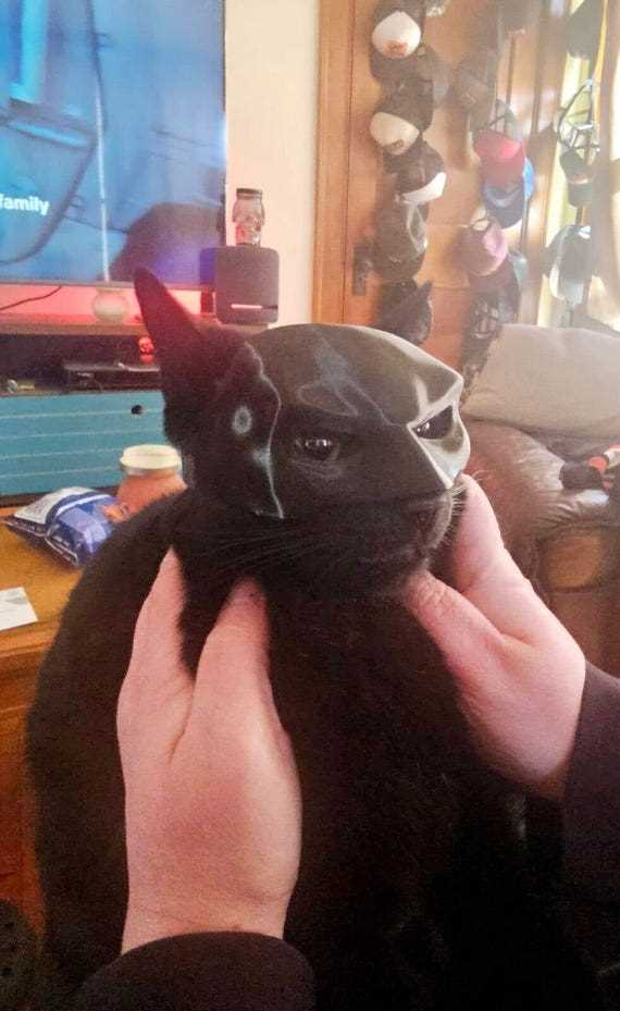 Unique Headgear of the Feline Thief