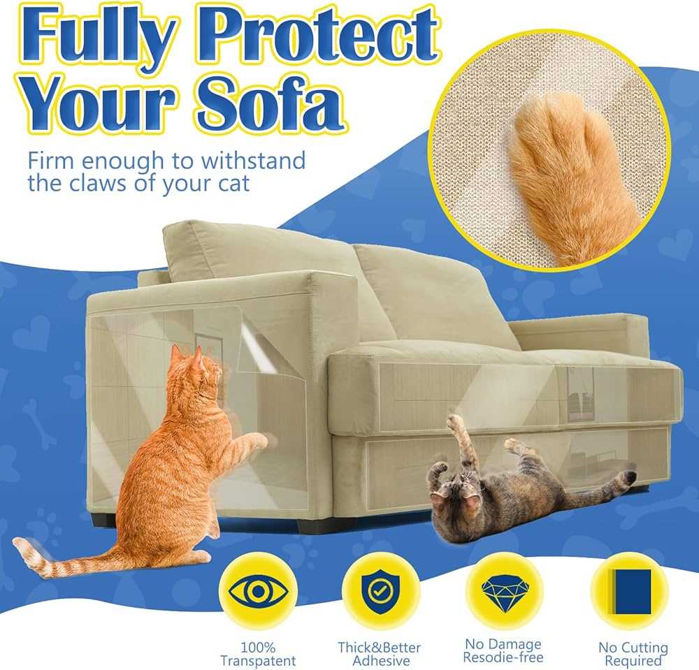 Protective Solutions for Furniture and Surfaces