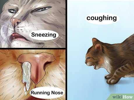 Potential Complications